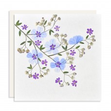 Flower Card - Purple Branch (pack of 6)