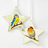 Large Painted Star - Blue tit and Robin