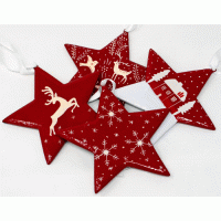 Large Painted Star - Christmas Red Assorted