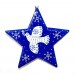 Large Painted Star - Blue Dove Assorted