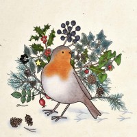 Christmas Card - Emma Lawrence Robin Christmas Card - Emma Lawrence Robin
